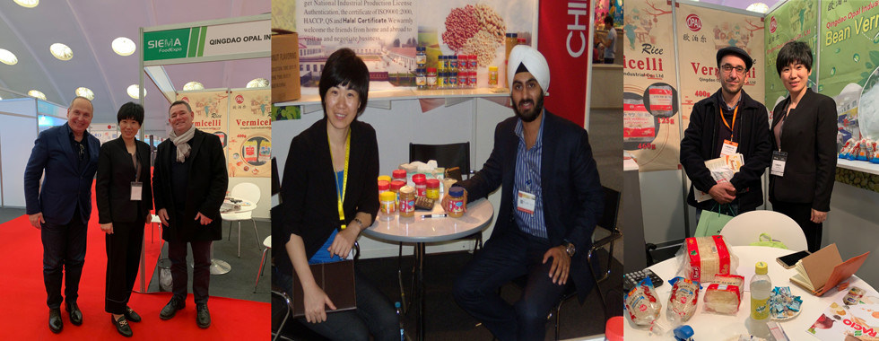 Green Bean Vermicelli