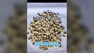 Blanched Peanut Kernel, HALAL & EU Compliant