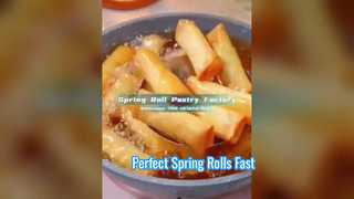 Chinese Frozen Spring Roll Wrappers Factory | EU Standard, UK Takeaways & Fast Food Adapted Showcase