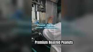 See Why Choose Roasted Split Peanut Kernels | EU Standard Roasted Peanut Halves Factory Supply