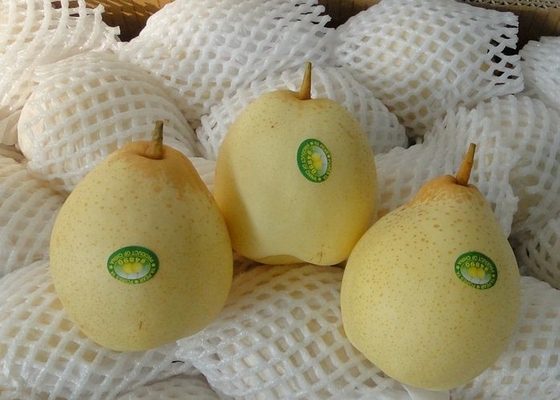 Delicious Oriental Pear