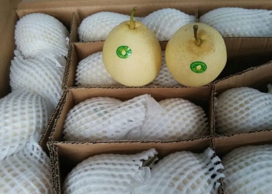 Crisp Chinese White Pear