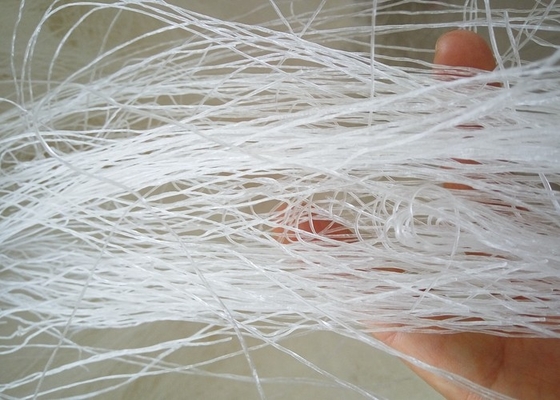 OEM Longkou Vermicelli Noodles for Customized Packaging and Branding