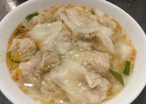 Wonton Wrappers | BRC & HALAL Certified | EU Standard Factory