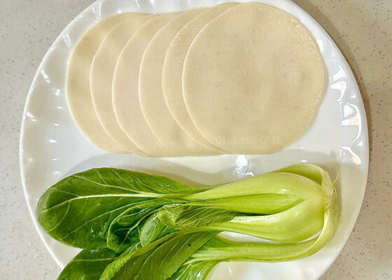 Dumpling Wrappers – HALAL Certified EU Standard Manufacturer