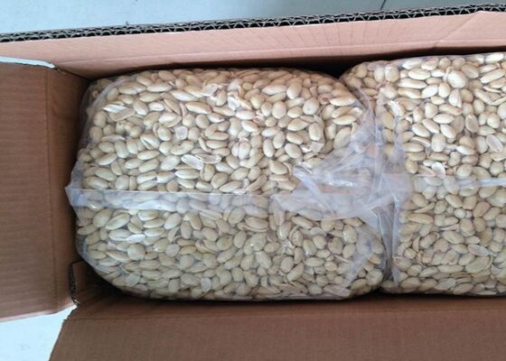 Premium Blanched Peanut Kernel, HALAL & EU Compliant, Raw Skinless Peanuts for Import