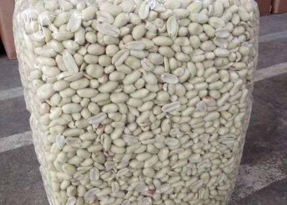 Premium Blanched Peanut Kernel, HALAL & EU Compliant, Raw Skinless Peanuts for Import