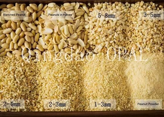 Premium Blanched Peanut Kernel, HALAL & EU Compliant, Raw Skinless Peanuts for Import