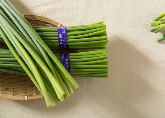 45cm Garlic Growing Green Stems