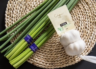 10kg Fresh Garlic Bolt Sprouts