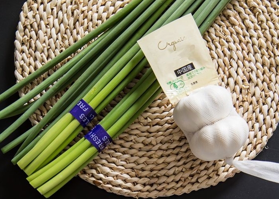 HACCP Fresh Garlic Bolt