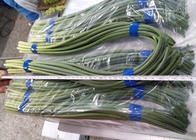 HACCP 45cm Chinese Garlic Sprouts Green