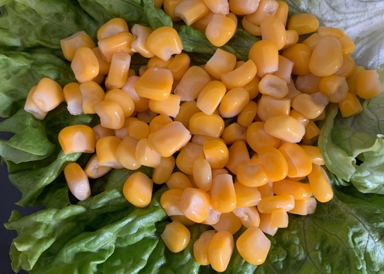 HALAL No GMO Easy Open Good Taste Canned Sweet Corn