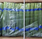 FDA 32cm Length A Grade Green Garlic Shoot Dia 0.9cm