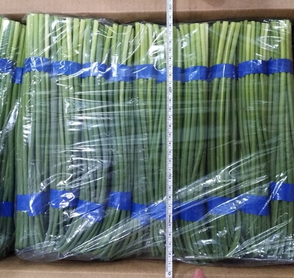 HACCP Fresh Garlic Bolt
