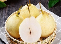 HACCP Yellow Chinese White Pear Juice Pome Fruit