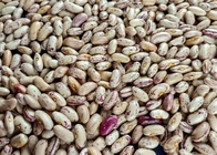 Kidney Beans Are Exported To Yemen
