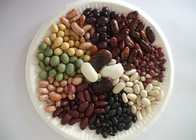 Dried Beans Chinese White Kidney Beans