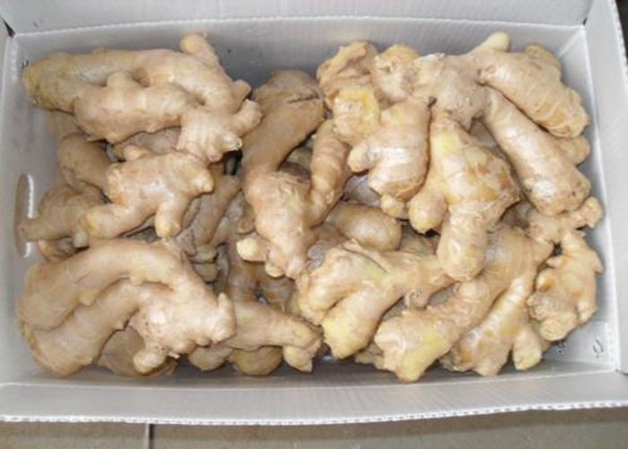 250g Chinese no sprout Air Dried Ginger