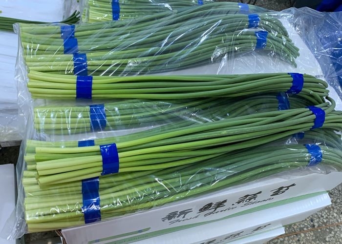250g bundle HACCP garlic growing stems