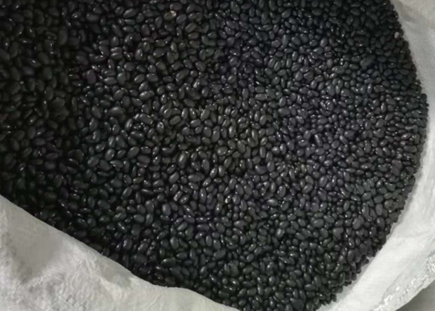Dried Beans Chinese Black Kidney Beans