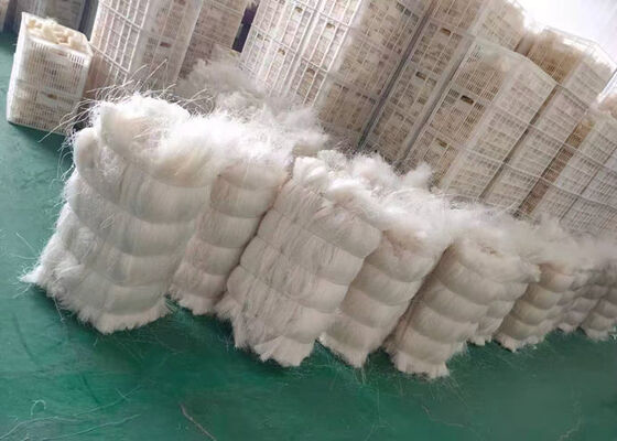 Industrial Green Bean Vermicelli | Chinese Manufacturer & Exporter - Bulk Supply for Importers & Wholesalers