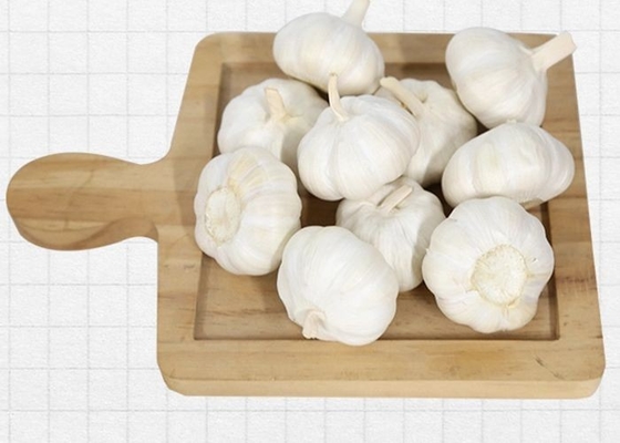 10kg Carton 6.5cm Chinese White Garlic
